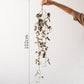 Hanging Plant