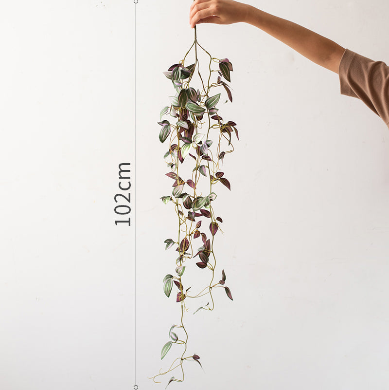 Hanging Plant