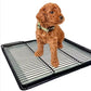 Pet Tray