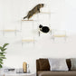 Wall Perches