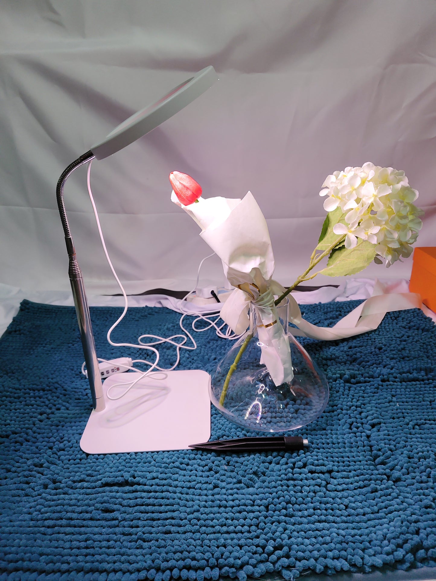 Indoor Light