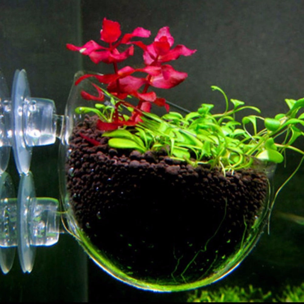 Aqua Pot
