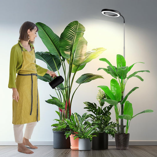 Indoor Light