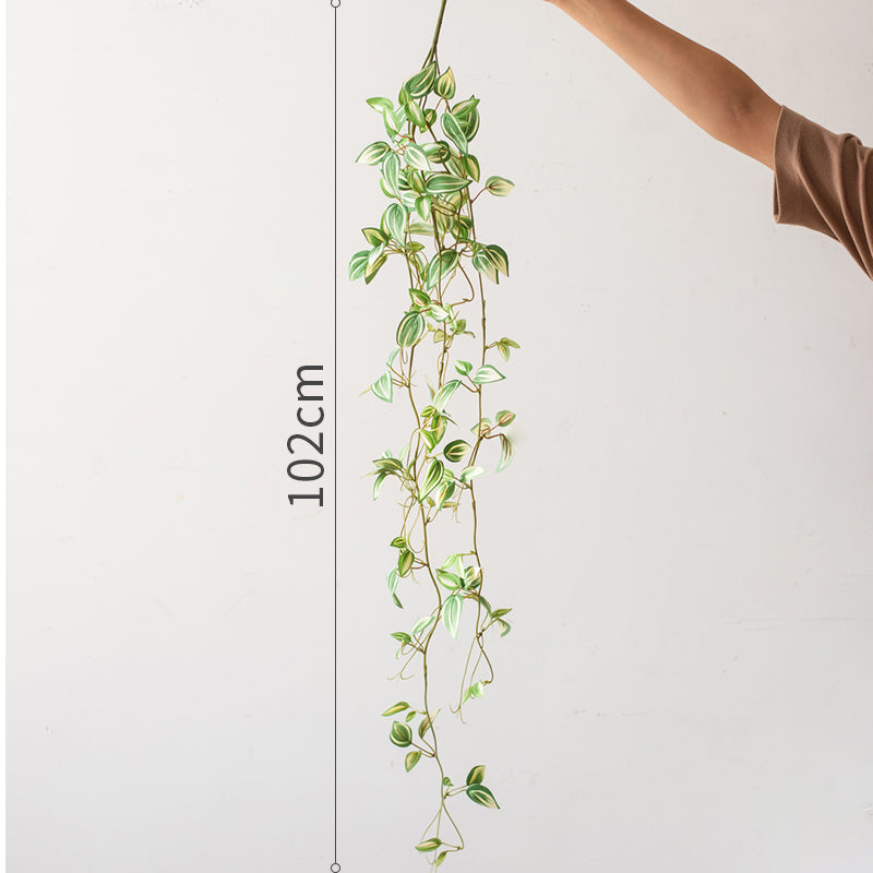 Hanging Plant