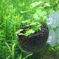 Aqua Pot