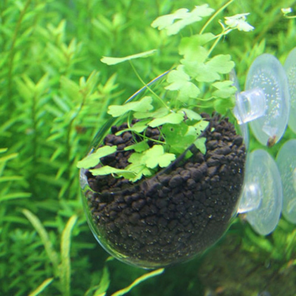 Aqua Pot