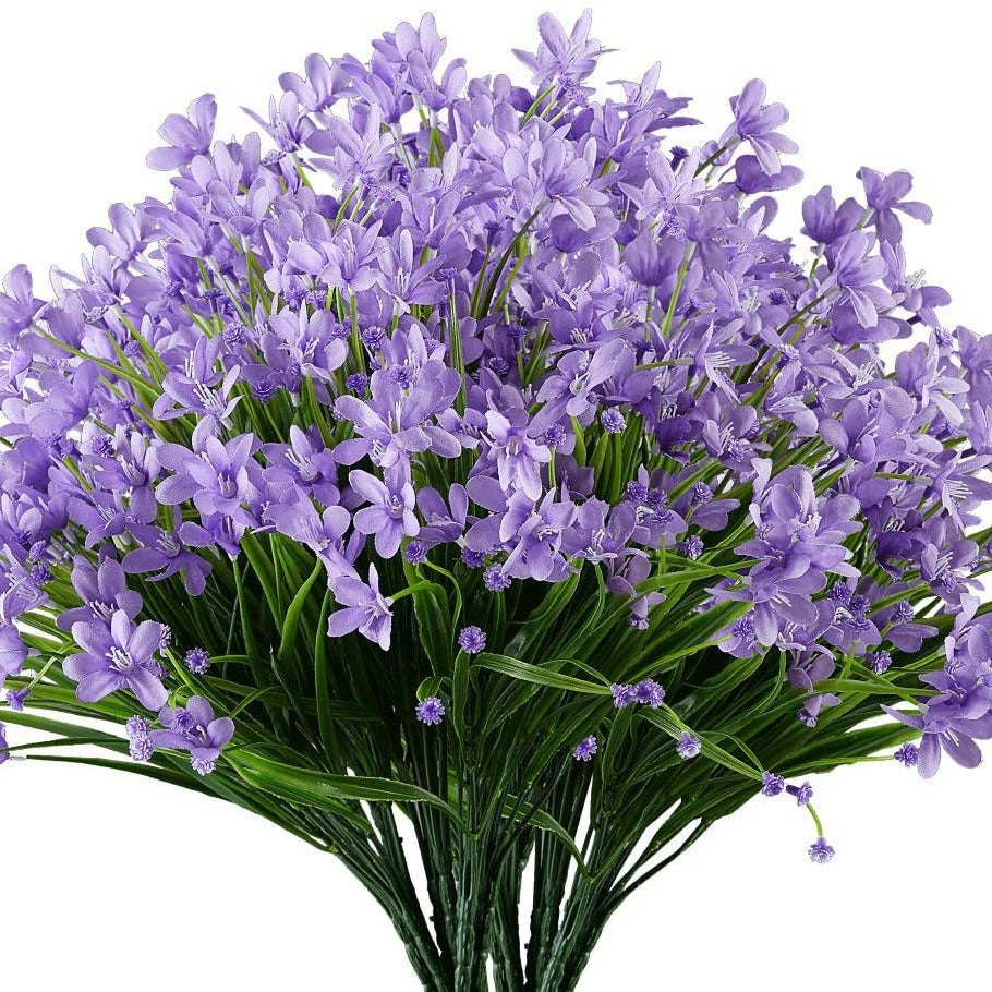Starry Plant